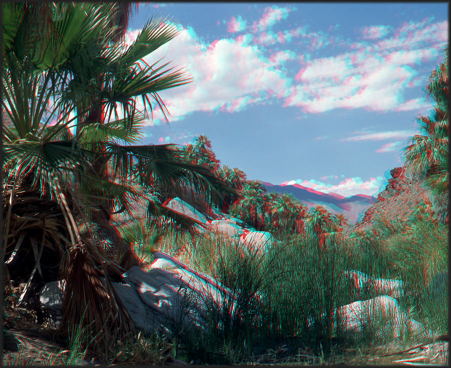 PalmCanyon