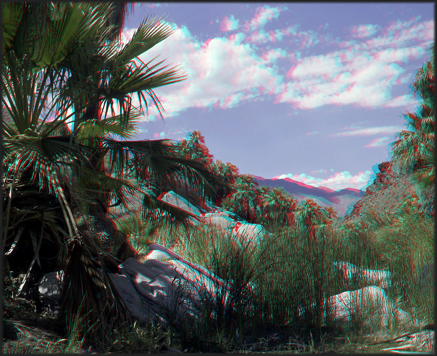 PalmCanyon(halfcolor)