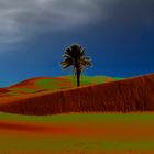 Palme in der Wüste