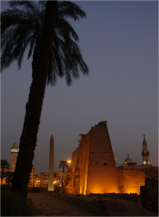 Palme und Obelisk