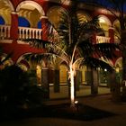 Palme vor dem "Kreuzgang" des Suitengebäude im Hotel Rio Calma
