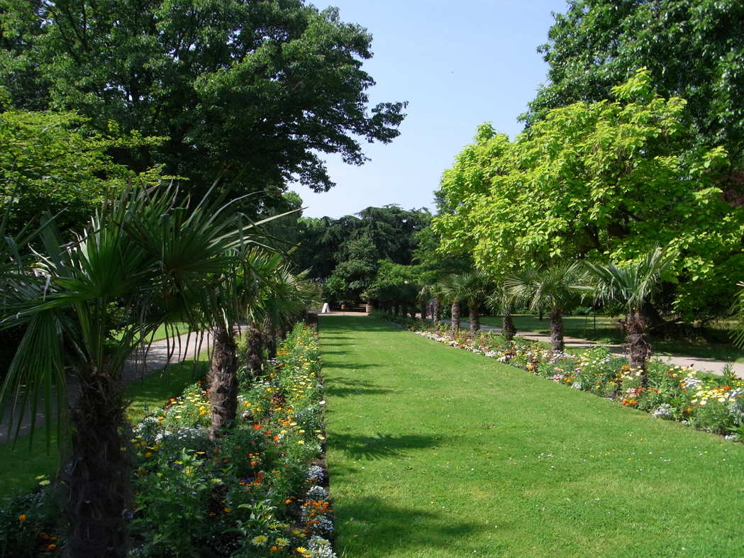 Palmen-Allee in der Kölner Flora