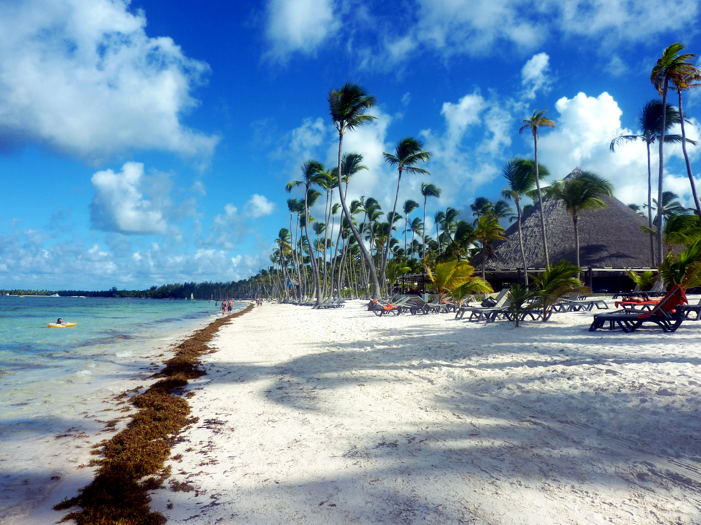 Palmen am Strand