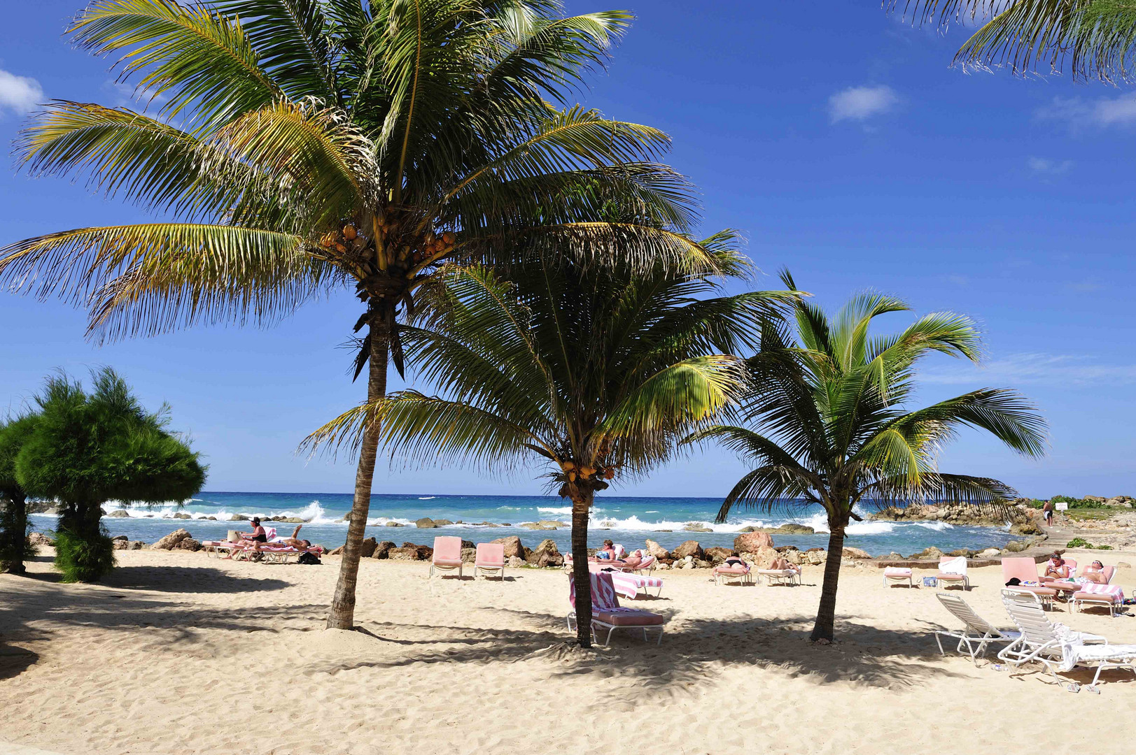 Palmen am Strand vom Breezes Grand Lido Braco in Rio Bueno