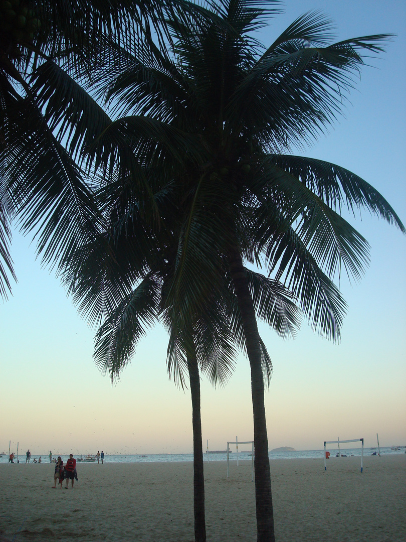 Palmen an der Copacabana