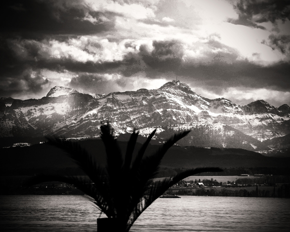 Palmen, Berge und Schnee