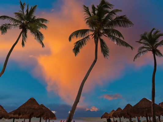 Palmen... fast bei der Stimmung Miami Vice... aber nur am Strand nach einem verregneten ersten Tag..