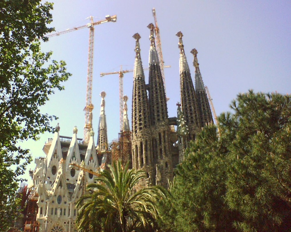 Palmen, Gaudi und Kräne