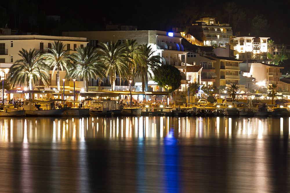 Palmen in der Nacht am Port Andraxt