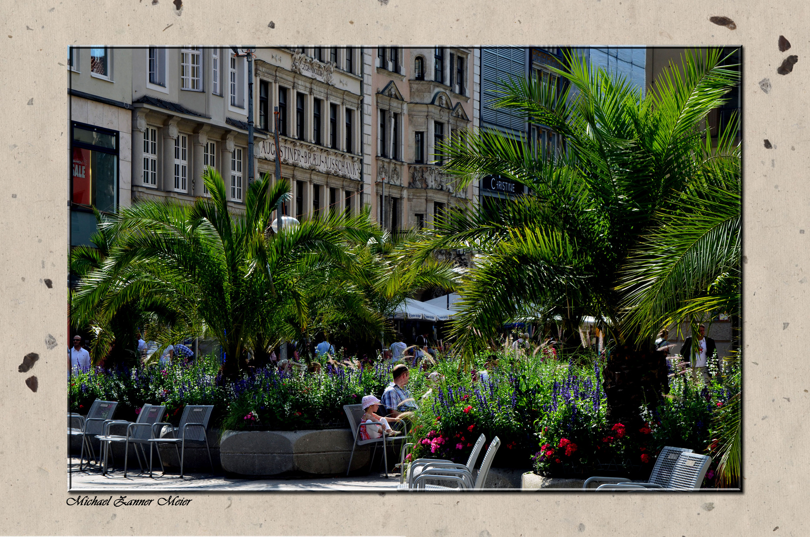 Palmen in München