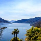 Palmen, Lago und die Aussicht