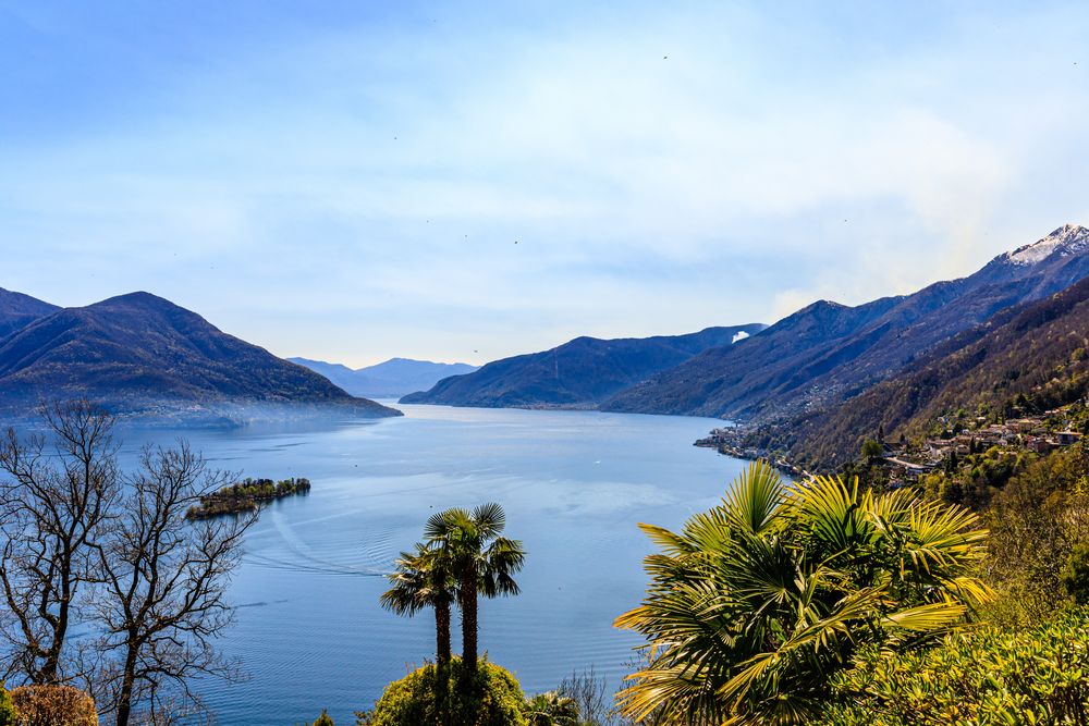 Palmen, Lago und die Aussicht