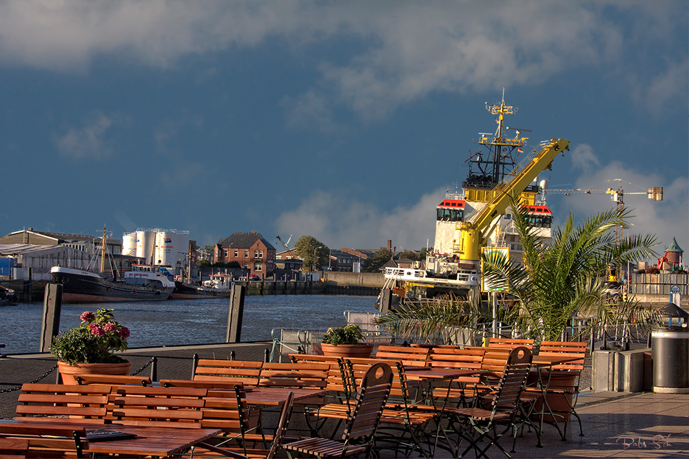 Palmen, Sonne, blauer Himmel