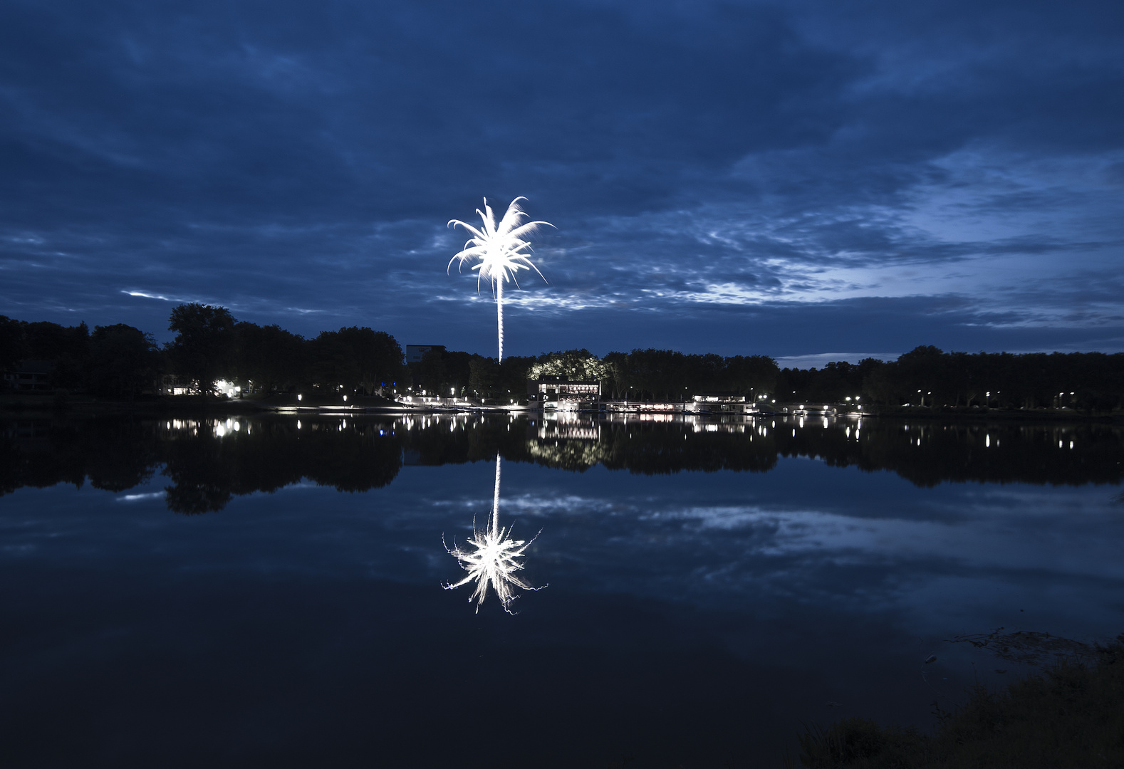 Palmen überm Aasee in Münster