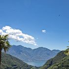 Palmen und Berge im Tessin am Lago Maggiore