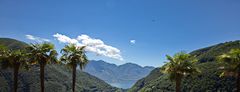 Palmen und Berge im Tessin am Lago Maggiore