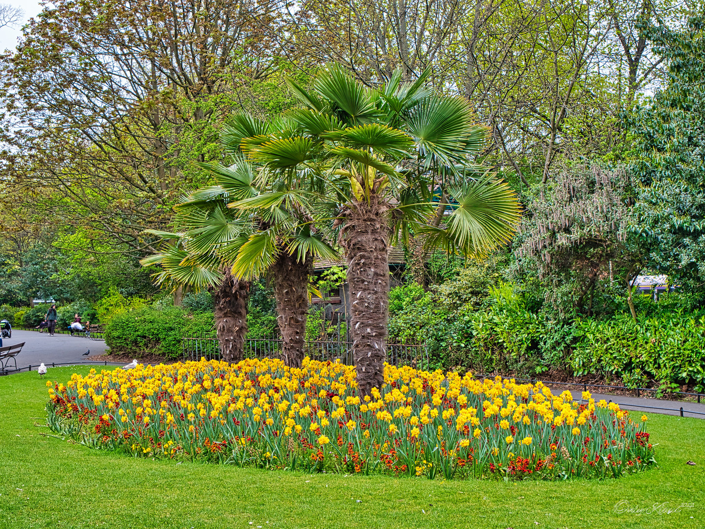 Palmen und Blüten