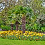 Palmen und Blüten