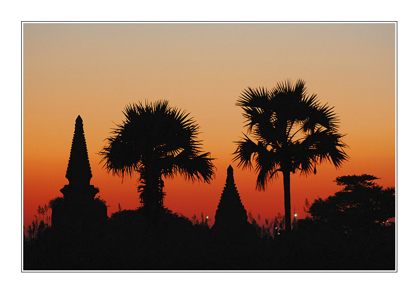 Palmen und Pagoden in Bagan