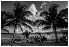 Palmen und Wolken