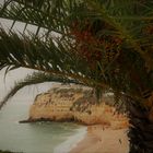 Palmendach über dem Strand von Caroveiro