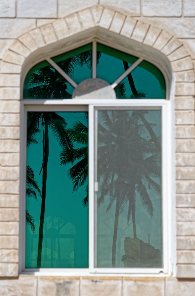 Palmenfenster