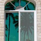 Palmenfenster