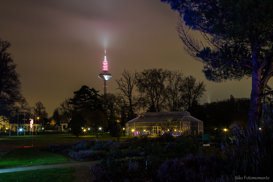 Palmengarten bei Nacht