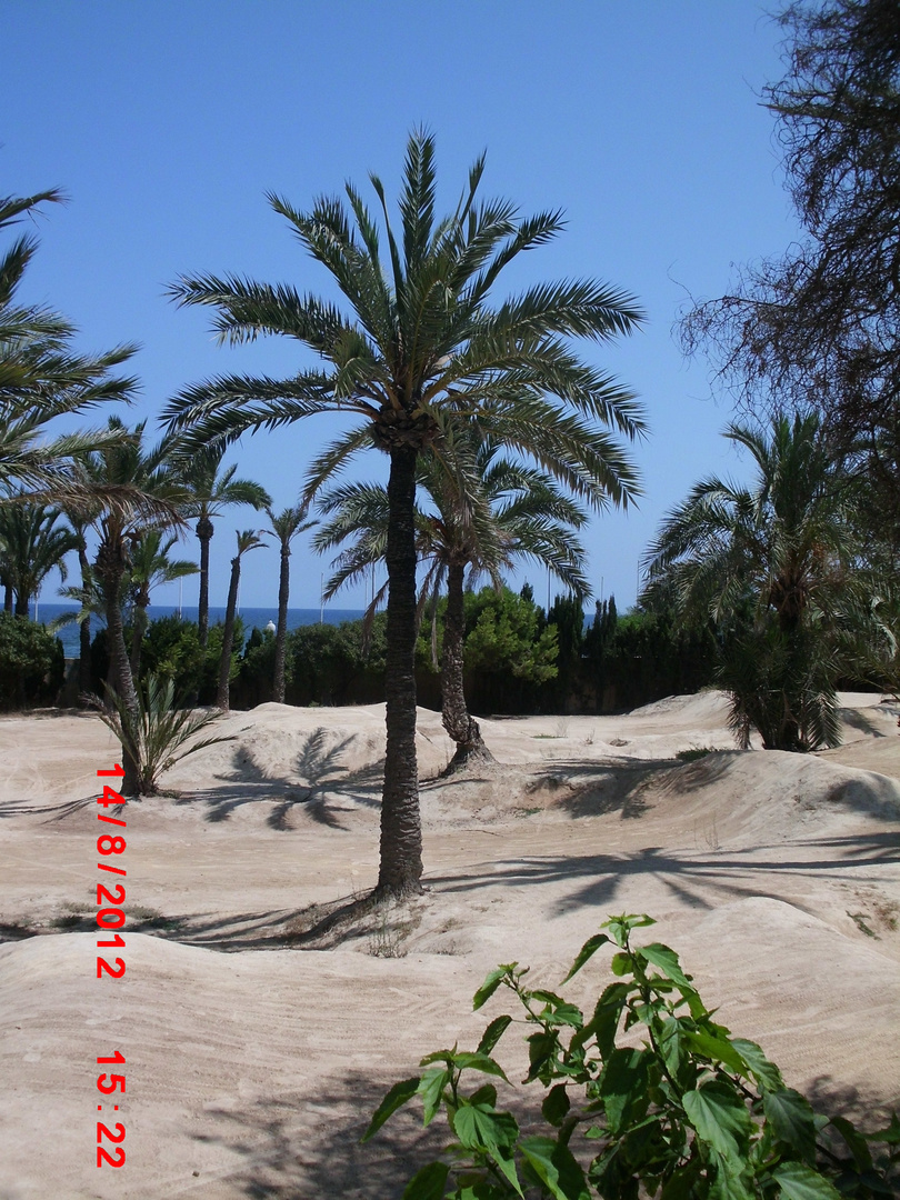 Palmengarten EL Palmeral,