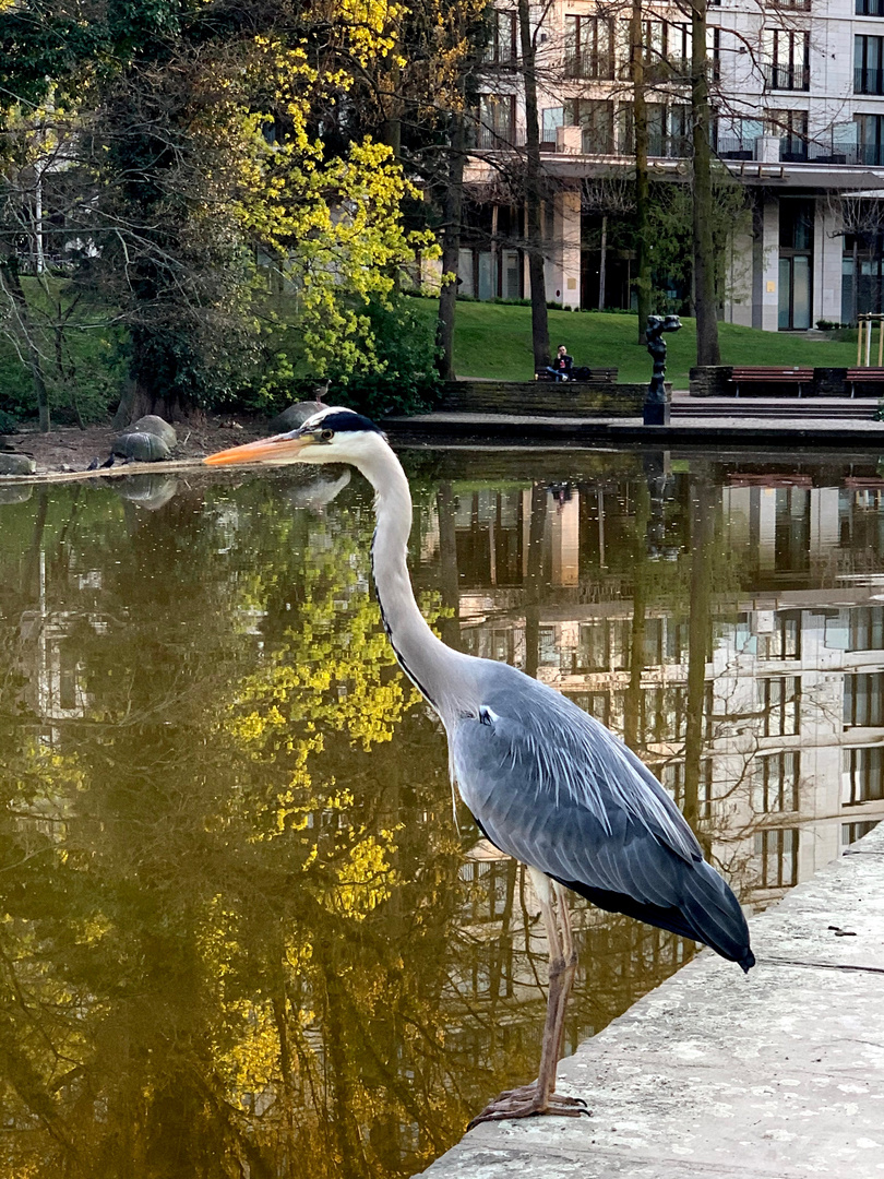 Palmengarten Frankfurt