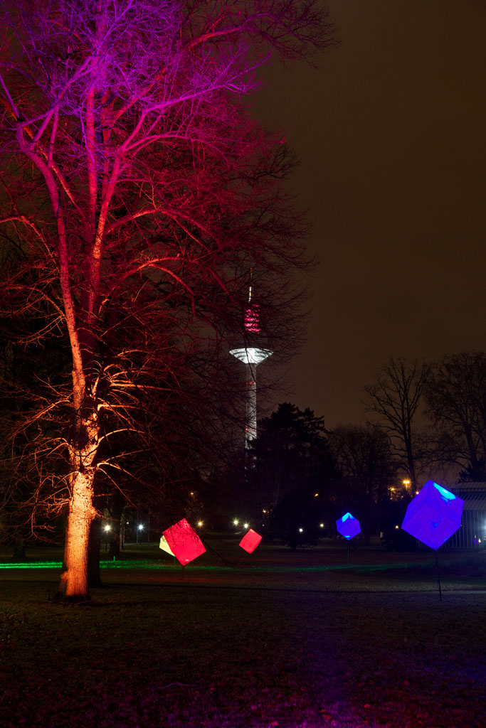 Palmengarten Frankfurt - Winterlicht 17