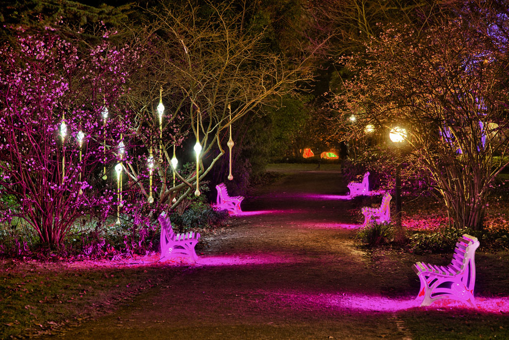 Palmengarten Frankfurt Winterlicht 18 Foto Bild Deutschland