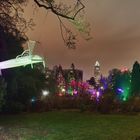 Palmengarten Frankfurt - Winterlicht 7