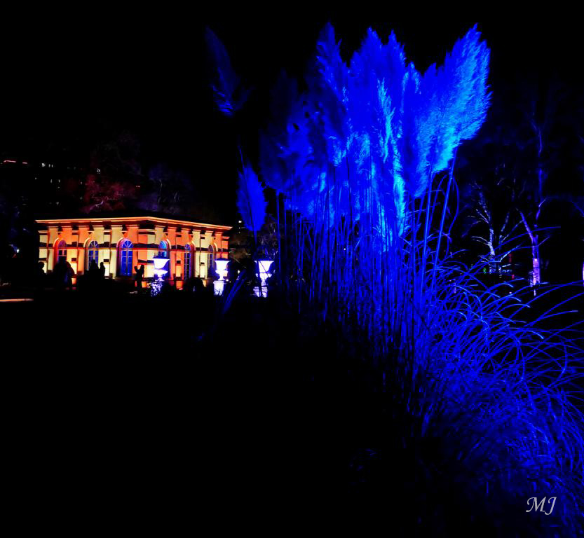 Palmengarten Frankfurt Winterlichter 01