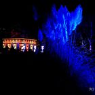 Palmengarten Frankfurt Winterlichter 01