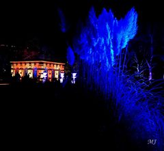 Palmengarten Frankfurt Winterlichter 01