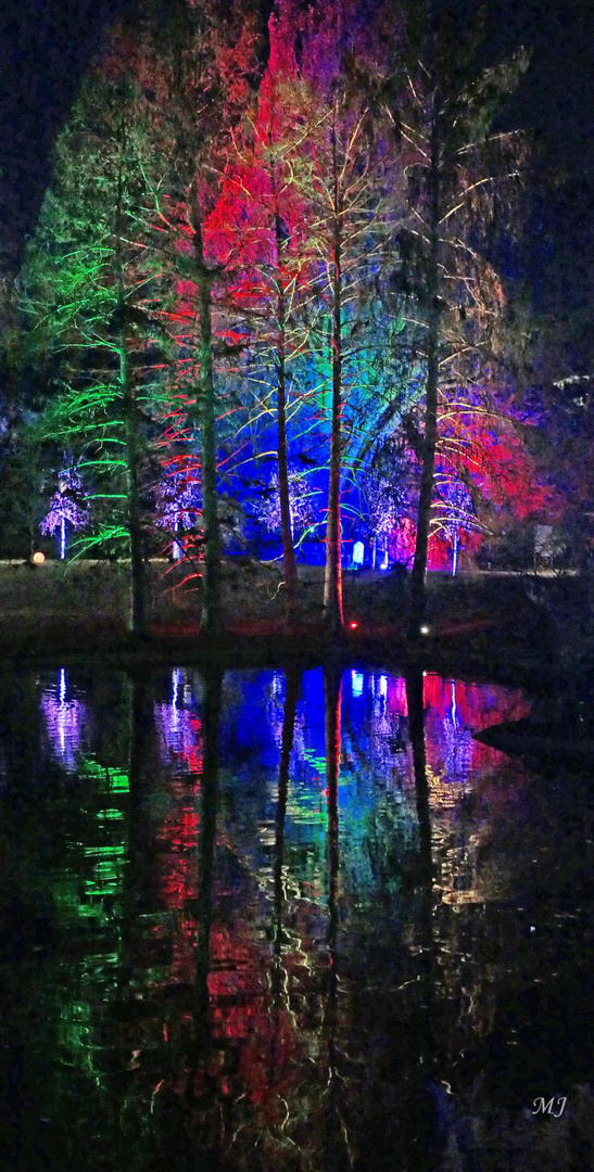 Palmengarten Frankfurt Winterlichter 05