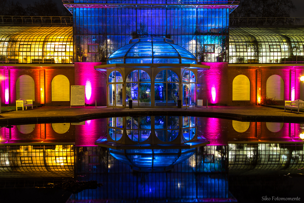 Palmengarten Frankfurt Winterlichter Gepiegelt Foto Bild