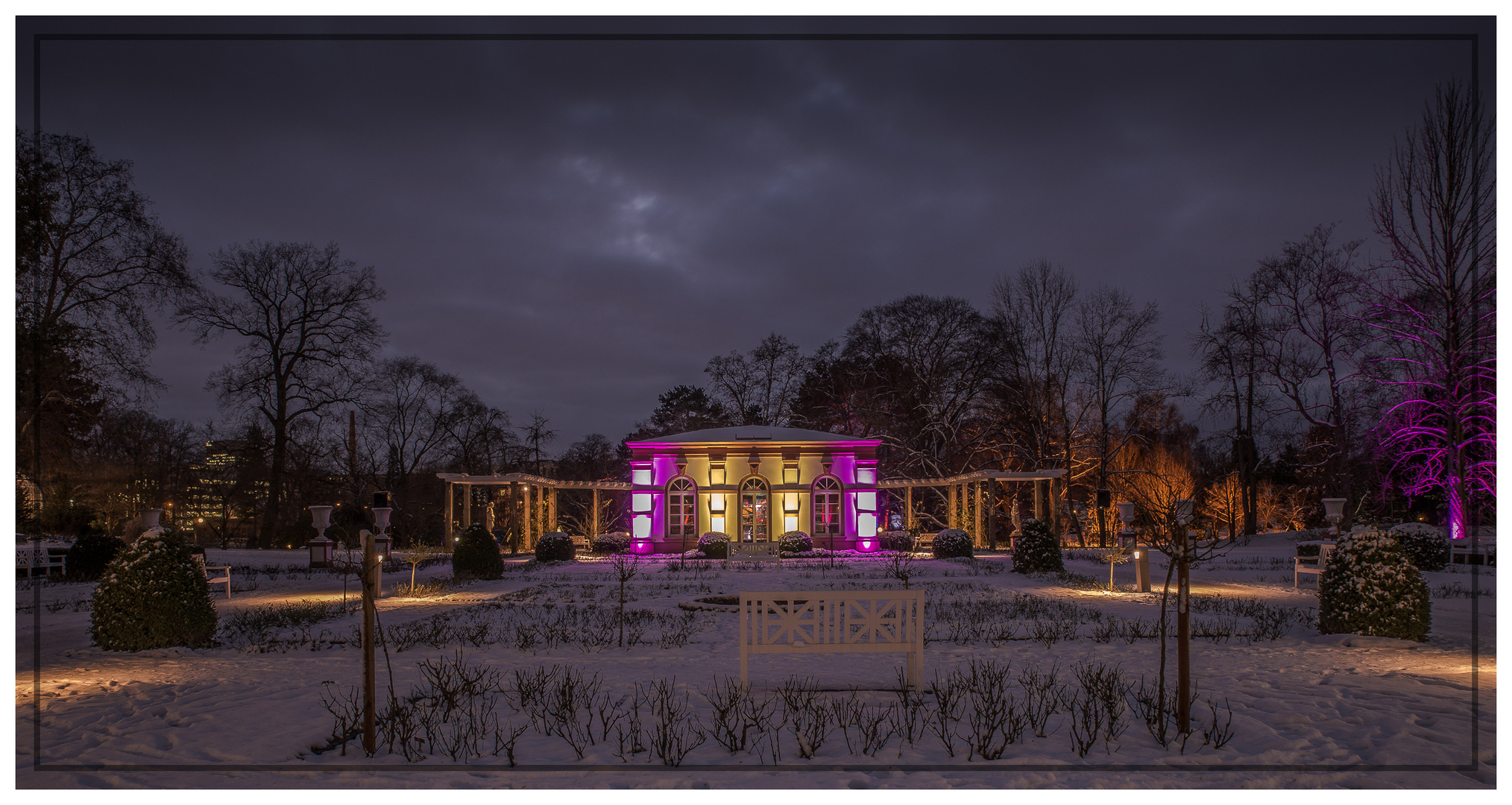 Palmengarten im Winterlicht