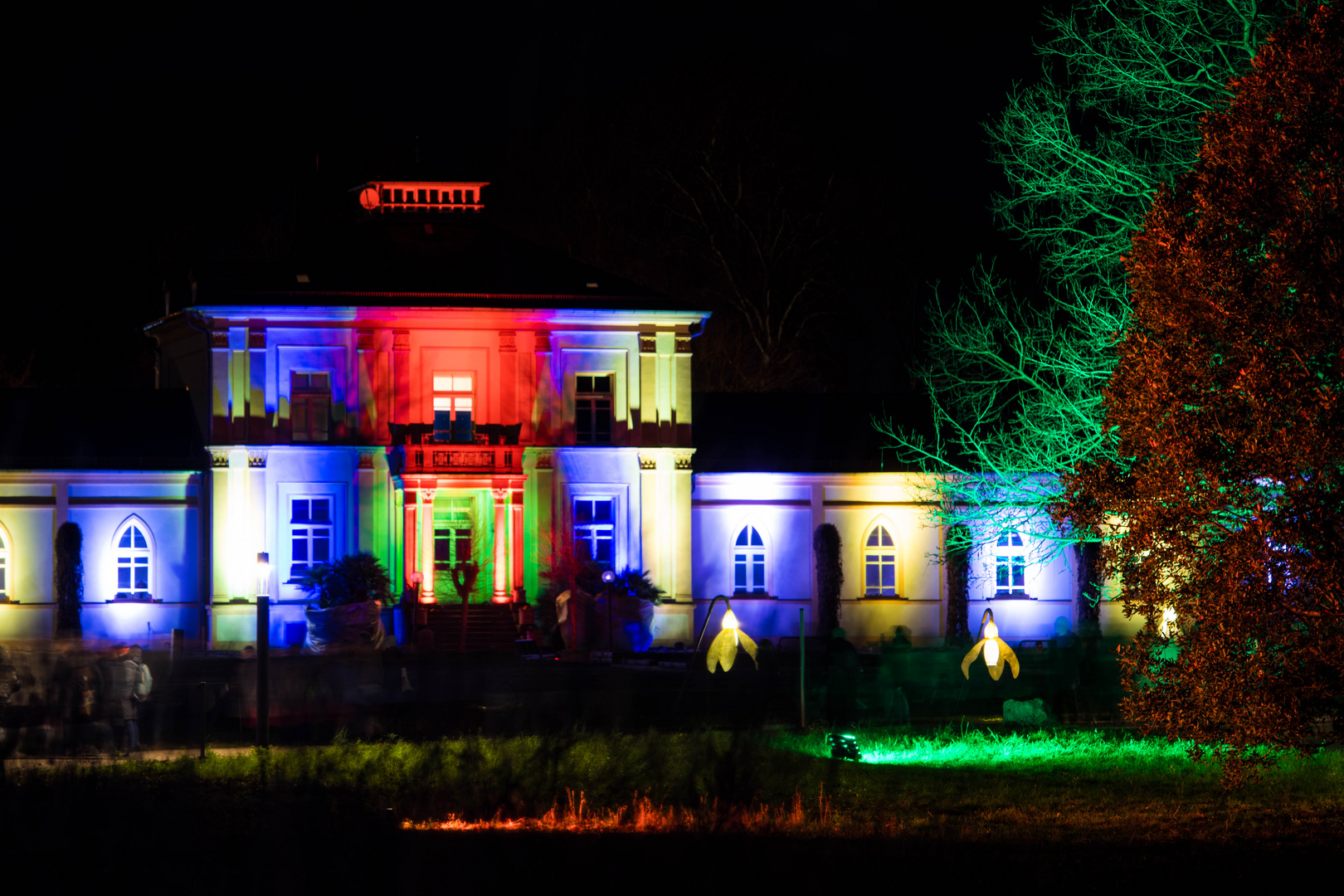 Palmengarten Winterlicht 4