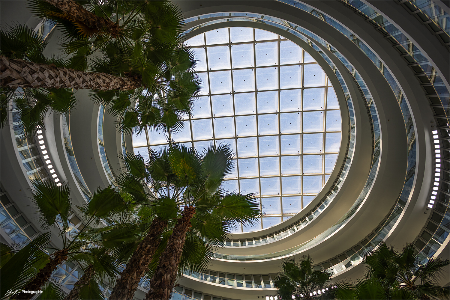 Palmenhalle Deutschlandhaus