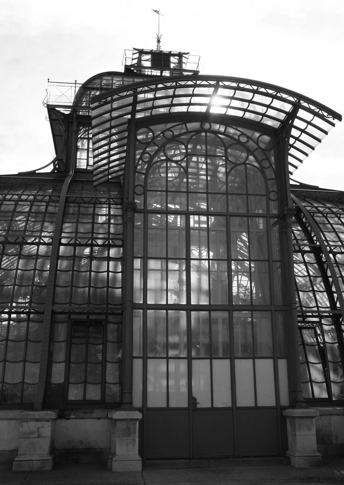 *Palmenhaus*