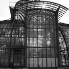 *Palmenhaus*