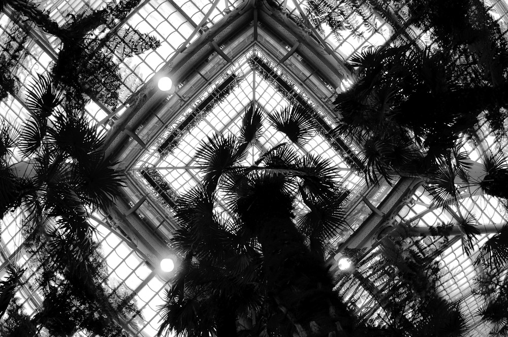 Palmenhaus 1