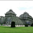 Palmenhaus