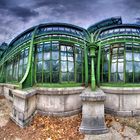 Palmenhaus