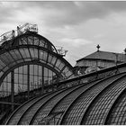 Palmenhaus