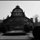 Palmenhaus