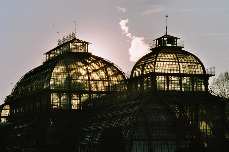 Palmenhaus bei Sonnenuntergang