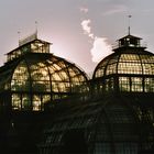 Palmenhaus bei Sonnenuntergang